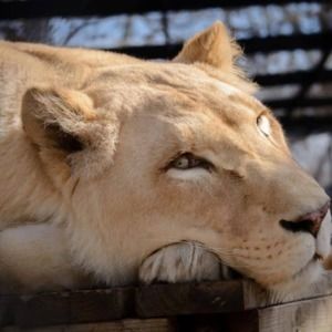 Meet your Posher, Cindy